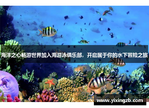 海洋之心畅游世界加入海游泳俱乐部，开启属于你的水下冒险之旅